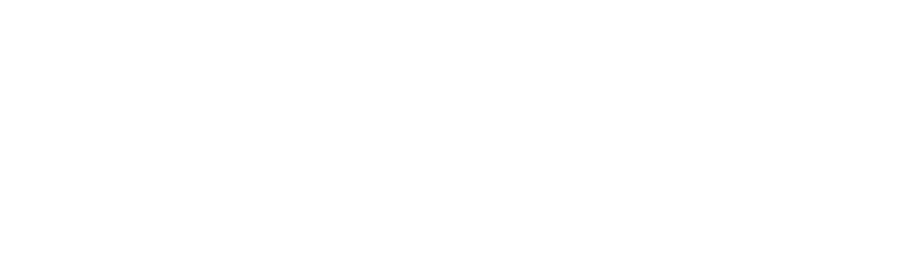 Ademicon