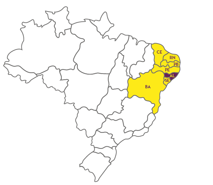 Atuação da Tecnolabs