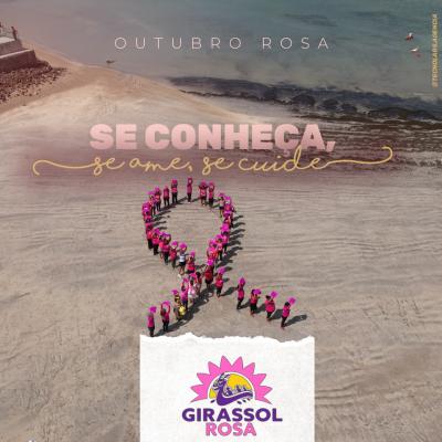 Girassol Rosa