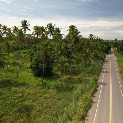 Gav Resorts - Maragogi/AL